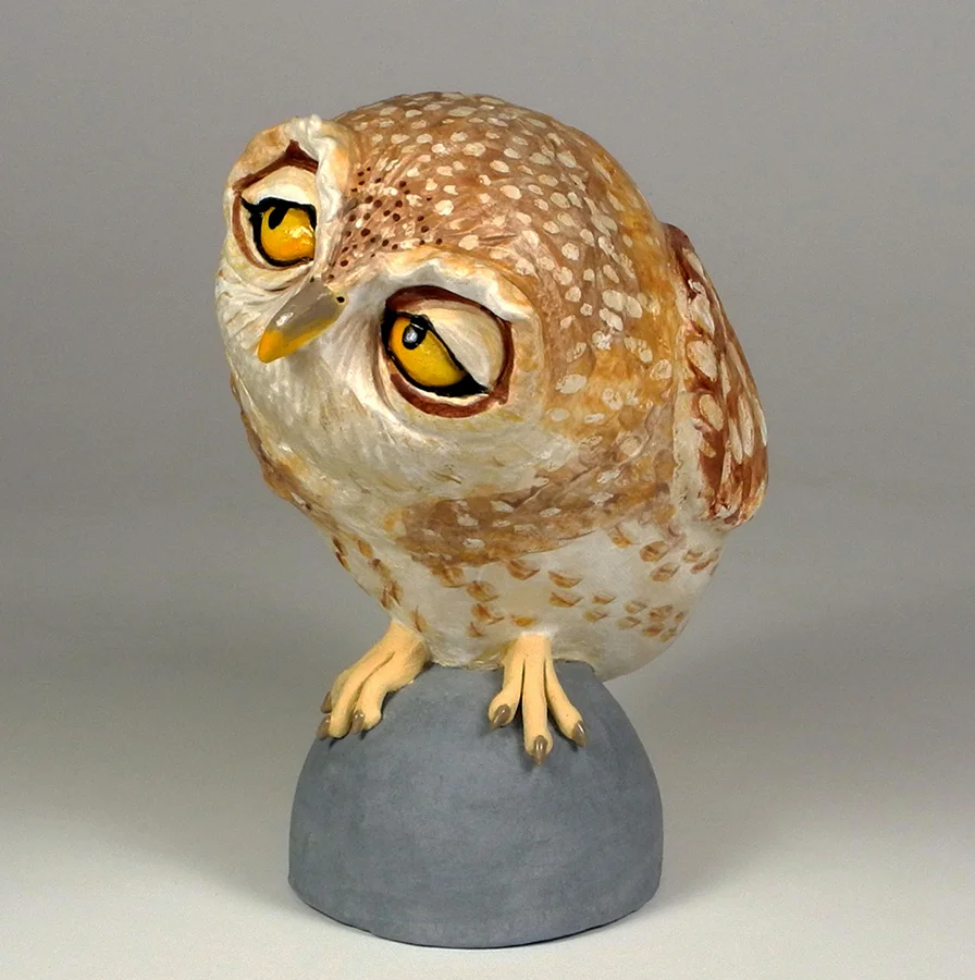 Owl — Paula Bellacera